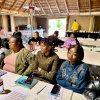 Induction&Training